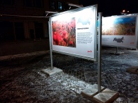 информационная выставка с ночным освещением информационных уличных стендов нашего изготовления